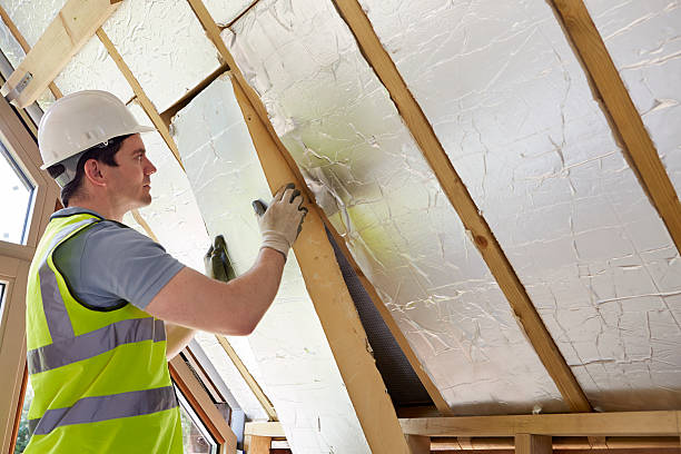 Types of Insulation We Offer in Monrovia, CA